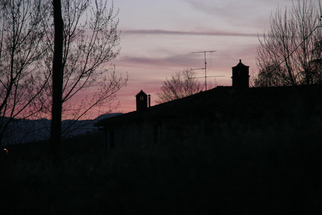 Serendipity House B&B Terranuova Bracciolini Exterior foto